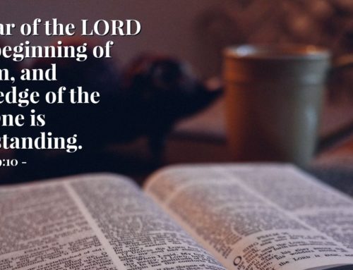 What does it mean to Fear the Lord?